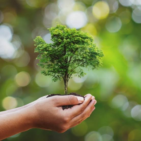 Tanggung Jawab Lingkungan